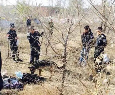 榆林榆河命案最新爆料,最新爆料揭示惊人真相