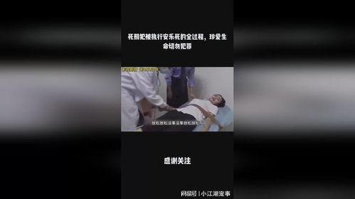 死刑犯安乐死过程视频,人性与法律的交锋