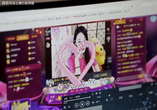鹏哥爆料公主直播录屏视频,公主直播录屏视频幕后真相大曝光