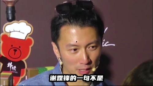 伯芝无码 下载,下载背后的故事与启示