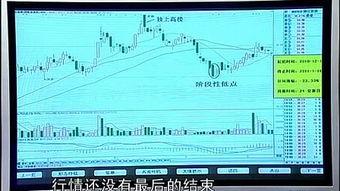 135韩国理论在线播放,揭秘在线播放的神秘世界