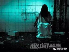 幽灵鬼屋免费观看,惊悚之旅等你开启