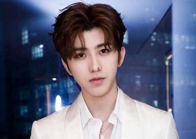 香港明星评论陈道明,一场跨界文化交流的火花碰撞