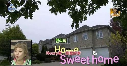 亨利直播爆料视频大全,独家爆料视频大全精彩回顾