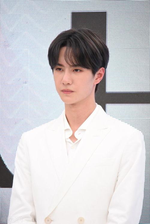 娱乐吃瓜王一博肖战,娱乐圈的甜蜜瓜田，揭秘兄弟情深背后的故事