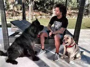 绿帽_狗奴_老公