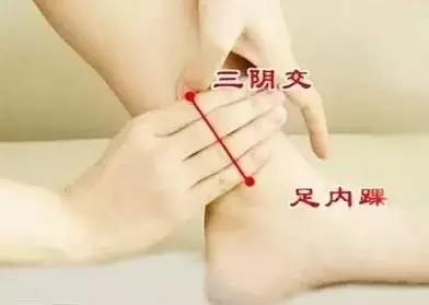 日本母子穴恋,揭秘日本母子穴恋的隐秘世界