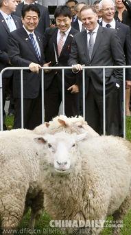 日本喜羊羊图片,萌动校园的奇幻冒险之旅