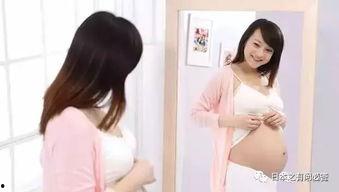 日本孕妇合集,日本孕妇生活全景
