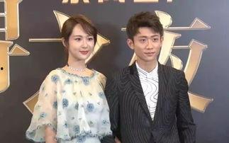 明星和普通人的电视剧,明星与普通人生活的戏剧交织