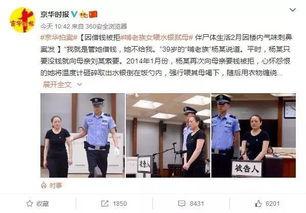 网友爆料南岸新闻视频,南岸新闻视频揭露惊人真相
